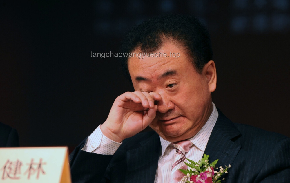 王健林“断腕式”自救的长远策略与路径探索